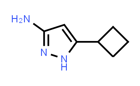 CAS No. 326827-21-8, 3-Amino-5-cyclobutyl-1H-pyrazole