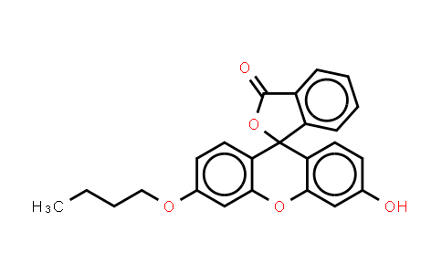 CAS No. 335193-91-4, N-Butylfluorescein