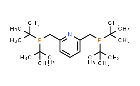 CAS No. 338800-13-8, 2,6-Bis((di-tert-butylphosphino)methyl)pyridine