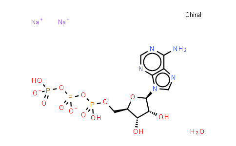 CAS No. 34369-07-8, ATP (disodium salt hydrate)