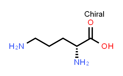 CAS No. 348-66-3, D-Ornithine