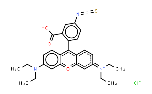 CAS No. 36877-69-7, Rhodamine B isothiocyanate