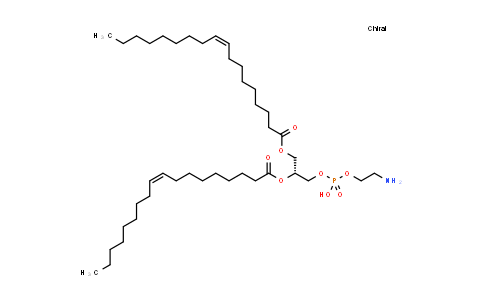 CAS No. 4004-05-1, 1,2-Dioleoyl-sn-glycero-3-phosphoethanolamine