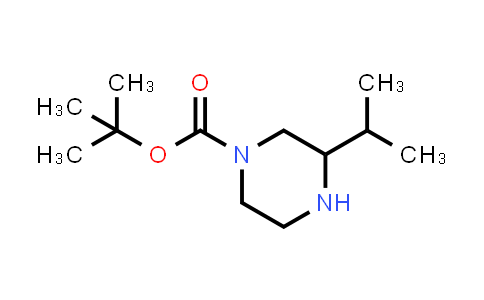502649-32-3 | 1-Boc-3-isopropyl-piperazine