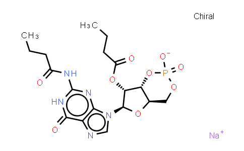CAS No. 51116-00-8, Dibutyryl-cGMP (sodium)