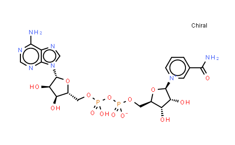 53-84-9 | β-二磷吡啶核苷酸