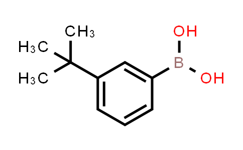 CAS No. 560132-24-3, (3-(tert-Butyl)phenyl)boronic acid