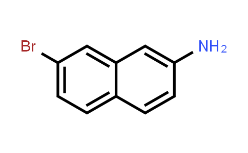 CAS No. 590417-30-4, 7-Bromonaphthalen-2-amine