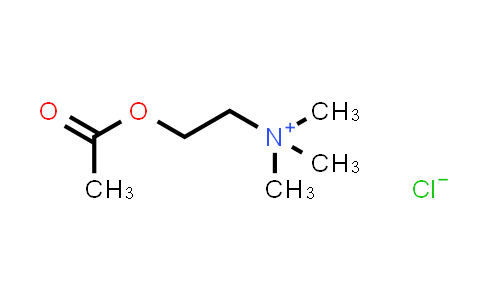 60-31-1 | Acetylcholine (chloride)