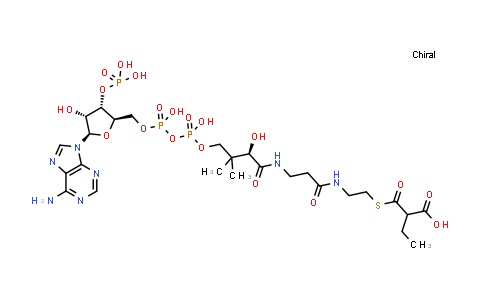 CAS No. 6049-57-6, Ethylmalonyl Coenzyme A