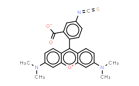 CAS No. 80724-19-2, Tetramethylrhodamine-5-isothiocyanate