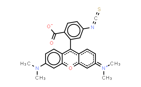 CAS No. 80724-20-5, Tetramethylrhodamine-6-isothiocyanate