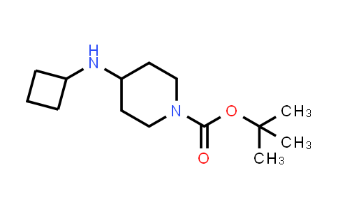 CAS No. 812690-41-8, tert-Butyl 4-(cyclobutylamino)piperidine-1-carboxylate