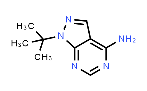 CAS No. 862728-60-7, 1-(tert-Butyl)-1H-pyrazolo[3,4-d]pyrimidin-4-amine