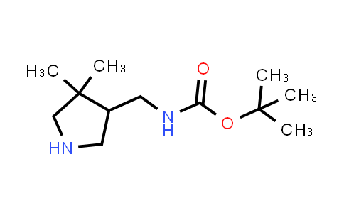 CAS No. 869292-47-7, tert-Butyl N-[(4,4-dimethylpyrrolidin-3-yl)methyl]carbamate
