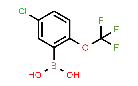 CAS No. 870822-78-9, [5-Chloro-2-(trifluoromethoxy)phenyl]boronic acid