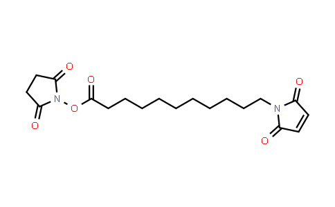 87981-04-2 | 11-(马来酰亚胺基)十一烷酸琥珀酰亚胺酯