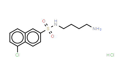 88519-57-7 | N-(4-氨基丁基)-5-氯萘-2-磺酰胺盐酸盐