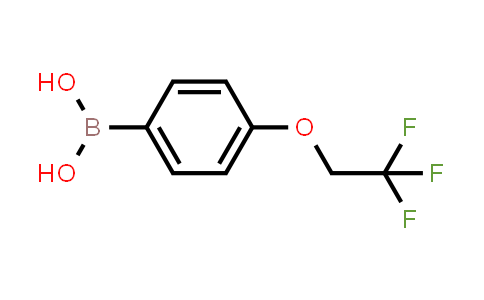 886536-37-4 | (4-(2,2,2-Trifluoroethoxy)phenyl)boronic acid
