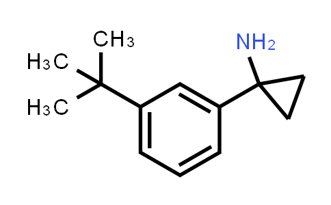 CAS No. 900802-72-4, Cyclopropanamine, 1-[3-(1,1-dimethylethyl)phenyl]-