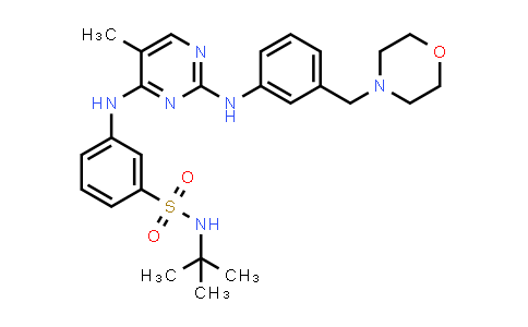 936091-56-4 | Benzenesulfonamide, N-(1,1-dimethylethyl)-3-[[5-methyl-2-[[3-(4-morpholinylmethyl)phenyl]amino]-4-pyrimidinyl]amino]-