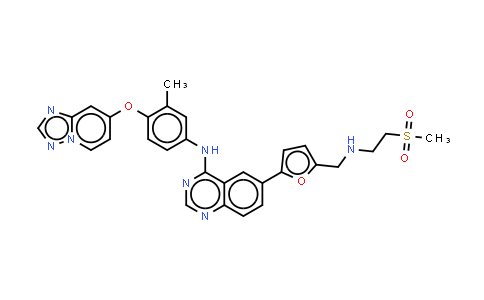 MC581240 | 937265-83-3 | 6-[5-[[[2-(甲磺酰基)乙基]氨基]甲基]-2-呋喃基]-N-[3-甲基-4-([1,2,4]三唑并[1,5-A]吡啶-7-氧基)苯基]-4-氨基喹唑