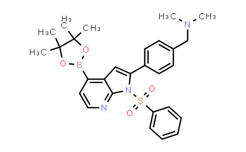 MC581637 | 942919-72-4 | N,N-dimethyl-1-(4-(1-(phenylsulfonyl)-4-(4,4,5,5-tetramethyl-1,3,2-dioxaborolan-2-yl)-1H-pyrrolo[2,3-b]pyridin-2-yl)phenyl)methanamine