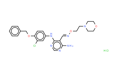 CAS No. 944341-54-2, EGFR/ErbB-2/ErbB-4 Inhibitor II