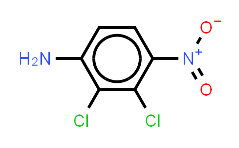 CAS No. 1331-14-2, Dichloro-4-Nitroaniline