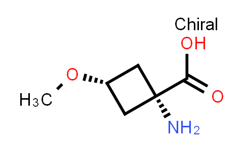 MC585288 | 2193051-80-6 | cis-1-amino-3-methoxy-cyclobutanecarboxylic acid