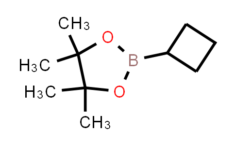 CAS No. 1360914-08-4, 2-cyclobutyl-4,4,5,5-tetramethyl-1,3,2-dioxaborolane