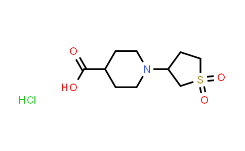CAS No. 1052541-78-2, 1-(1,1-dioxothiolan-3-yl)piperidine-4-carboxylic acid hydrochloride