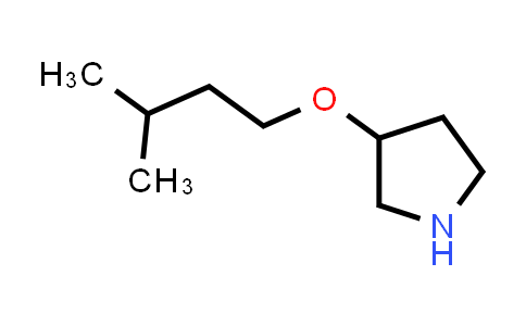 CAS No. 946726-54-1, 3-isopentyloxypyrrolidine