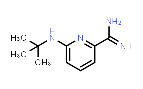 CAS No. 1342969-94-1, 6-(tert-butylamino)pyridine-2-carboxamidine