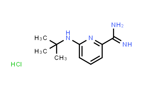 CAS No. 1432681-69-0, 6-(tert-butylamino)picolinimidamide hydrochloride