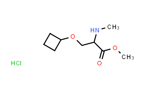CAS No. 1485749-12-9, methyl 3-cyclobutoxy-2-(methylamino)propanoate hydrochloride
