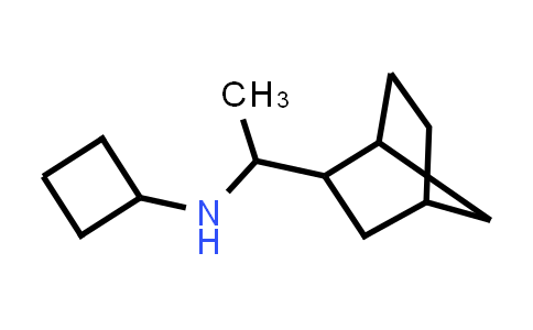 CAS No. 1292426-44-8, N-(1-{bicyclo[2.2.1]heptan-2-yl}ethyl)cyclobutanamine
