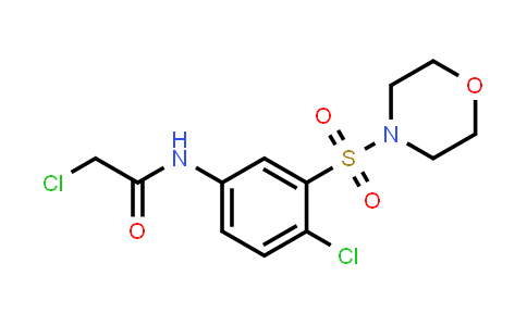 CAS No. 379254-82-7, 2-chloro-N-[4-chloro-3-(morpholine-4-sulfonyl)phenyl]acetamide