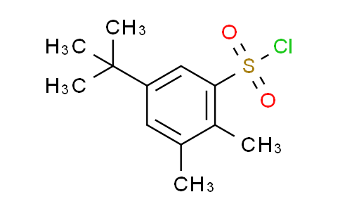 CAS No. 339370-16-0, 5-tert-butyl-2,3-dimethylbenzenesulfonyl chloride