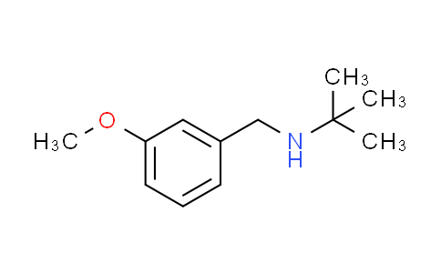 CAS No. 207349-84-6, N-(3-methoxybenzyl)-2-methyl-2-propanamine