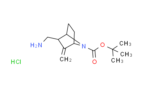 CAS No. 1909288-65-8, tert-butyl rac-(1S,2R,4R)-2-(aminomethyl)-3-methylene-7-azabicyclo[2.2.1]heptane-7-carboxylate hydrochloride