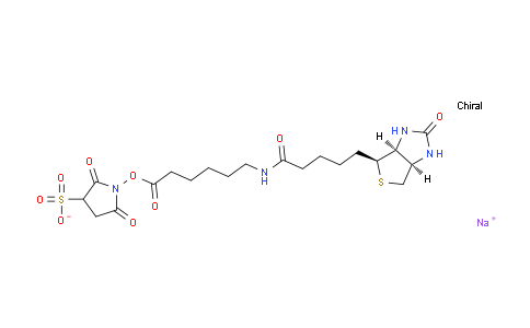 CAS No. 191671-46-2, Sodium 2,5-dioxo-1-((6-(5-((3aS,4S,6aR)-2-oxohexahydro-1H-thieno[3,4-d]imidazol-4-yl)pentanamido)hexanoyl)oxy)pyrrolidine-3-sulfonate