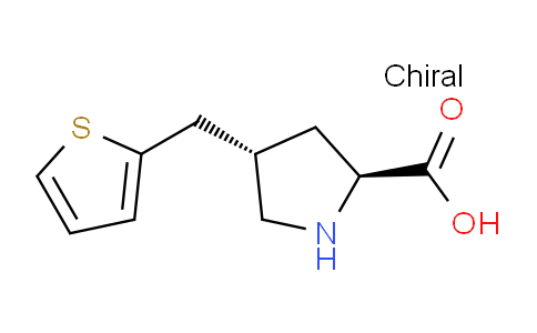 CAS No. 1049983-85-8, (2S,4S)-4-(Thiophen-2-ylmethyl)pyrrolidine-2-carboxylic acid
