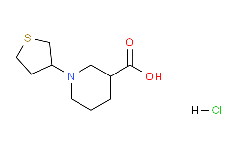 CAS No. 1215749-61-3, 1-(Tetrahydrothiophen-3-yl)piperidine-3-carboxylic acid hydrochloride