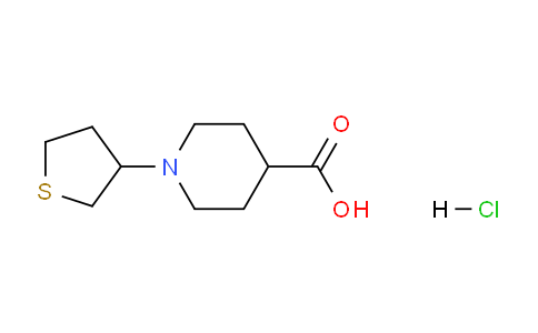 CAS No. 1185299-73-3, 1-(Tetrahydrothiophen-3-yl)piperidine-4-carboxylic acid hydrochloride