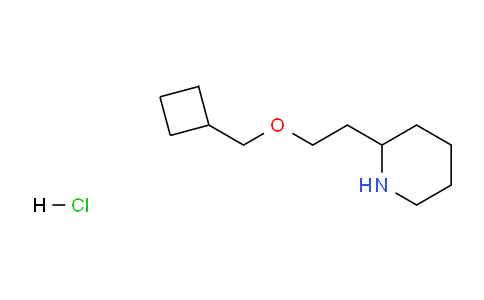 CAS No. 1220020-76-7, 2-(2-(Cyclobutylmethoxy)ethyl)piperidine hydrochloride