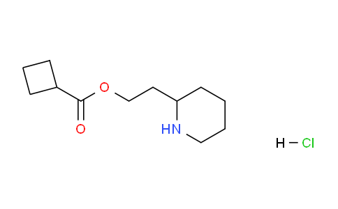 CAS No. 1220038-28-7, 2-(Piperidin-2-yl)ethyl cyclobutanecarboxylate hydrochloride