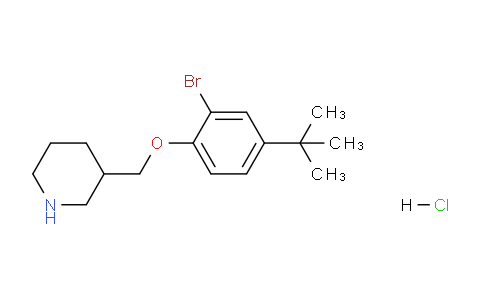 CAS No. 1220030-42-1, 3-((2-Bromo-4-(tert-butyl)phenoxy)methyl)piperidine hydrochloride