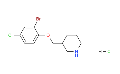 CAS No. 1220028-84-1, 3-((2-Bromo-4-chlorophenoxy)methyl)piperidine hydrochloride