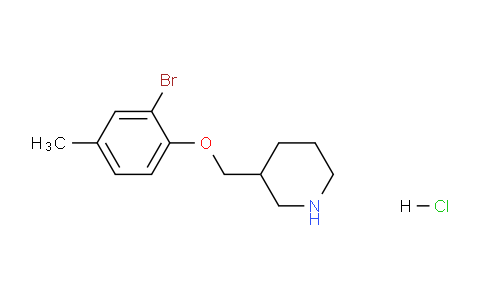 CAS No. 1185303-89-2, 3-((2-Bromo-4-methylphenoxy)methyl)piperidine hydrochloride